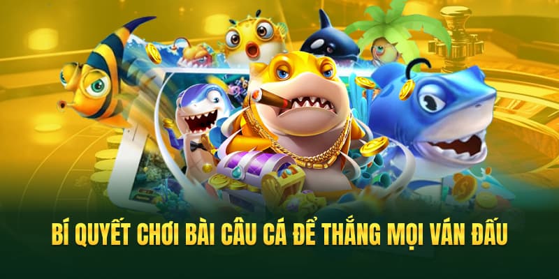 Bí quyết chơi bài câu cá để thắng mọi ván đấu