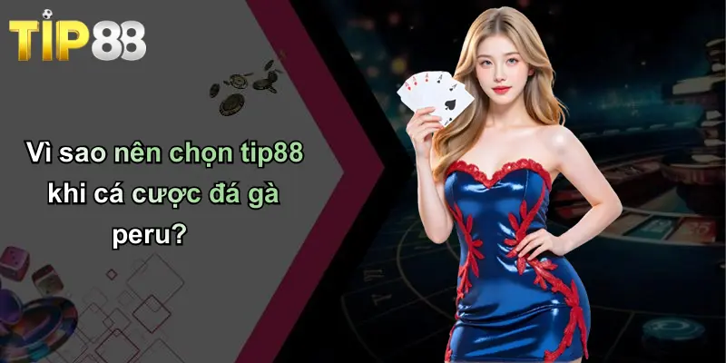 Vì sao nên chọn tip88 khi cá cược đá gà peru?