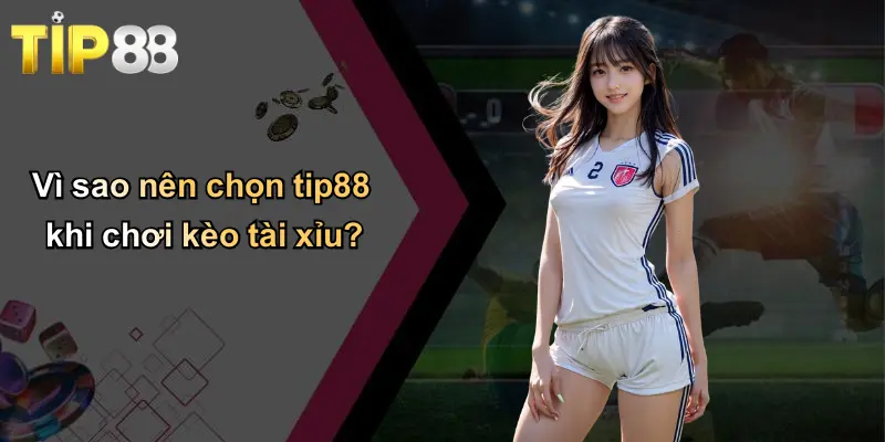 Vì sao nên chọn tip88 khi chơi kèo tài xỉu?
